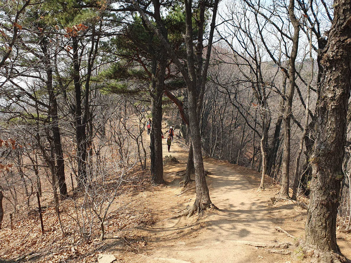 옥녀봉으로 가는 능선길