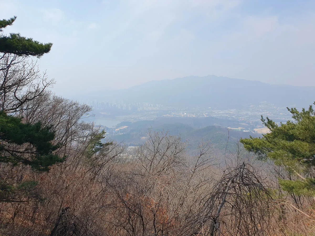 관악산과 과천시내 그리고 서울랜드