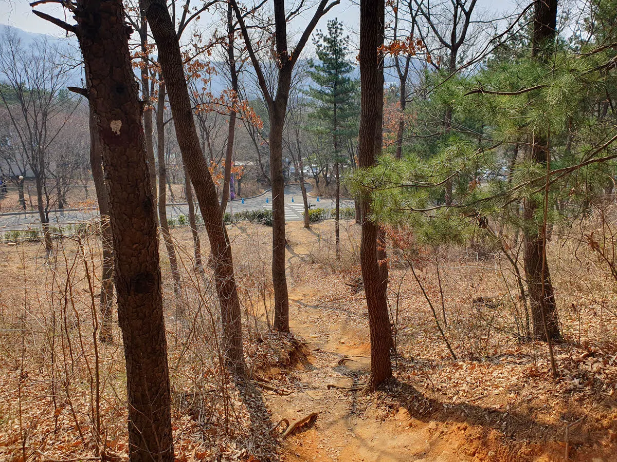 옥녀봉에서 서울랜드로 내려가는 길
