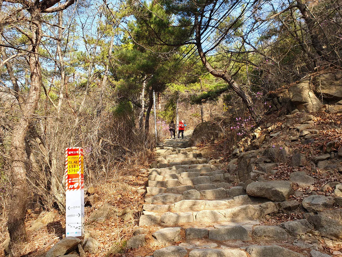 관악산 연주암 가는길의 깔딱고개