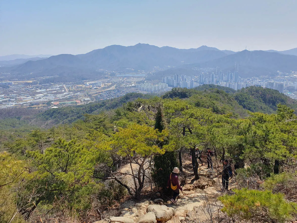 하산길에 보이는 서울랜드와 청계산의 추억