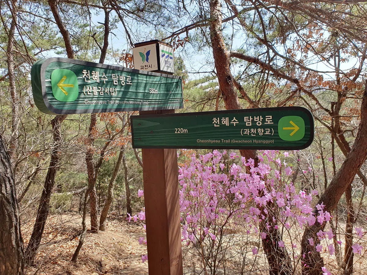 천혜수 탐방로 이정표