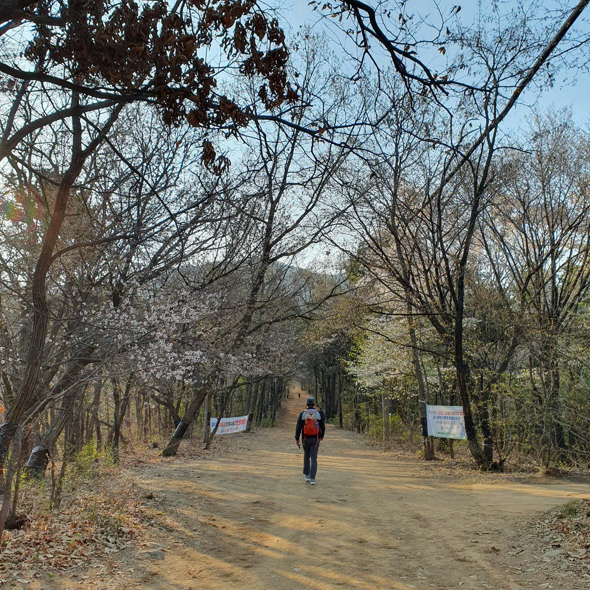 
검단산 초입