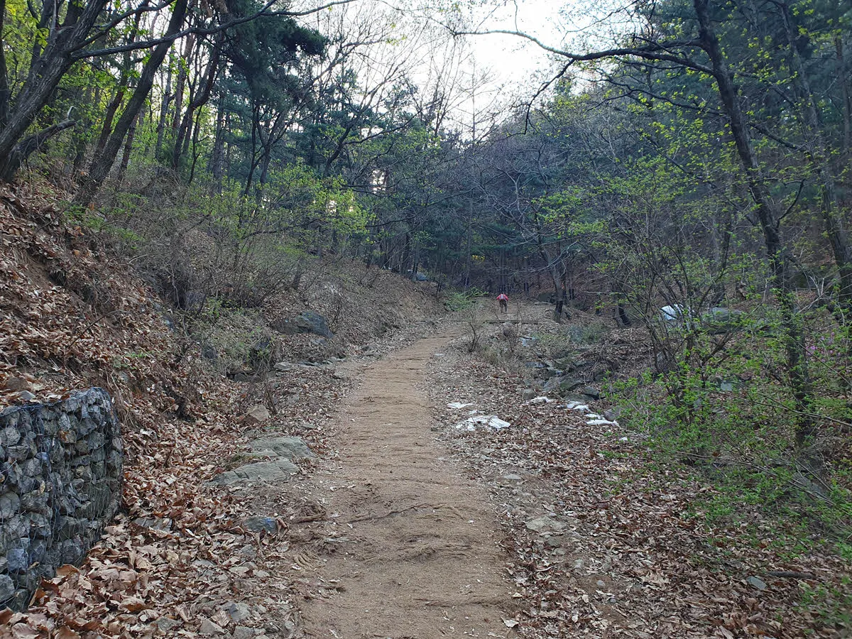 길이 좁아지며 본격적인 등산로의 시작 - 하남 검단산