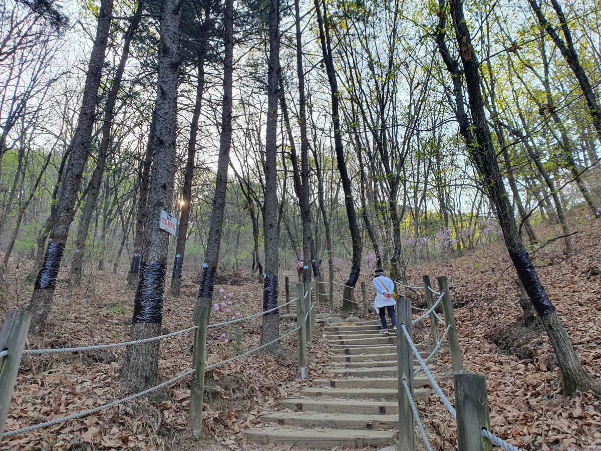 검산단 주능선으로 올라가는 계단