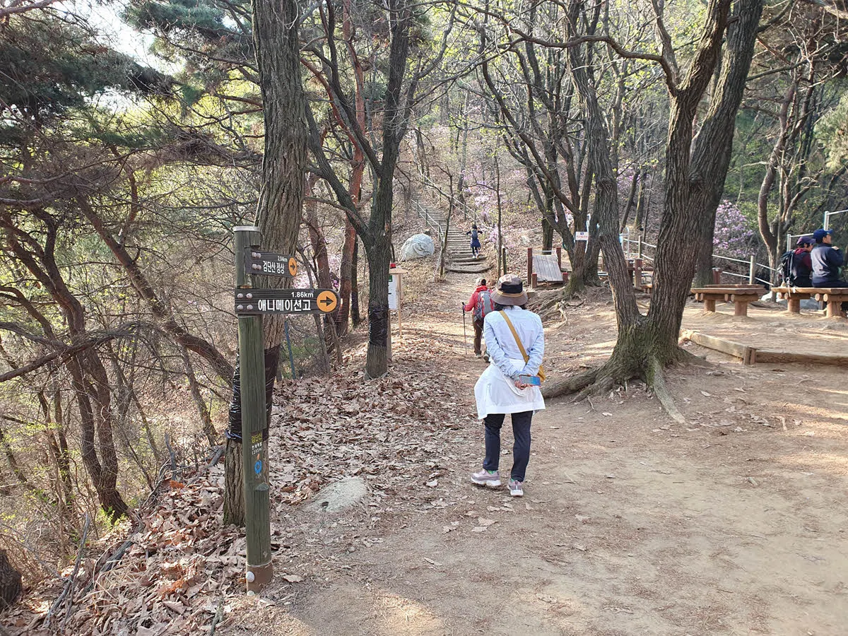 검단산 주능선