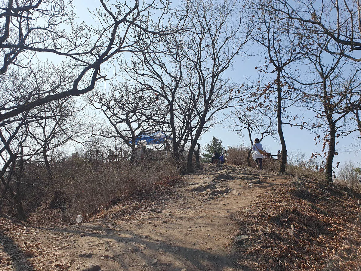 검단산 정상