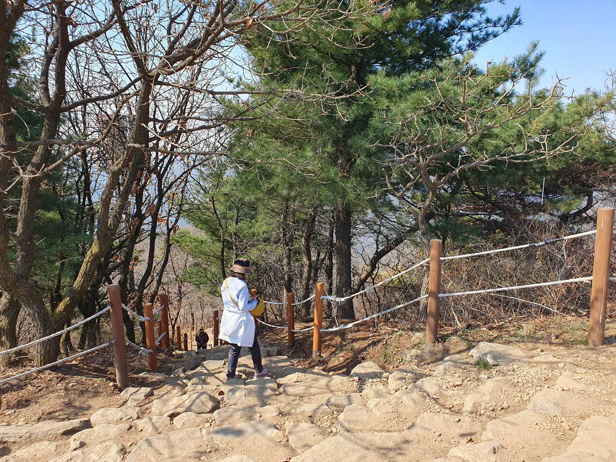 검단산 하산 시작