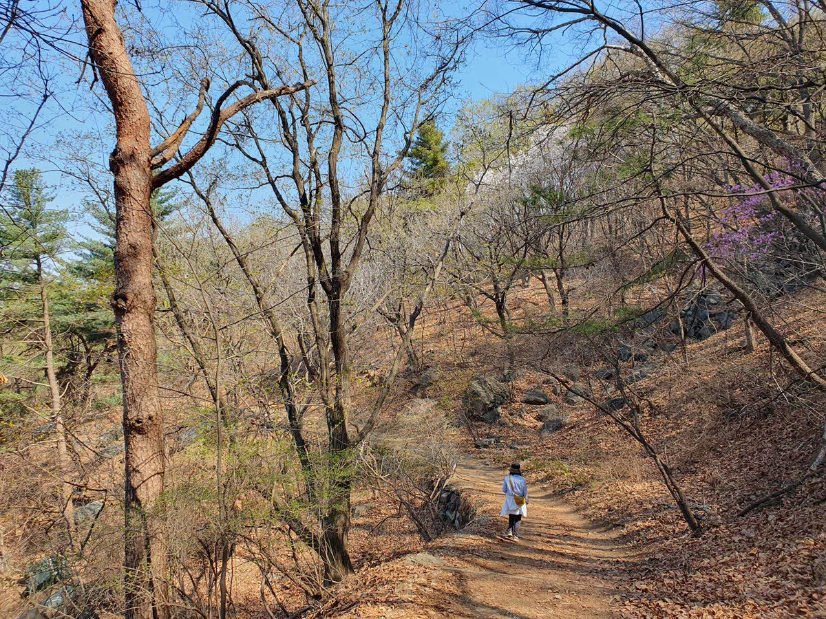 청계산 하산길