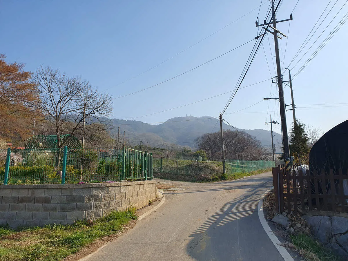 멀리 보이는 고려산 정상