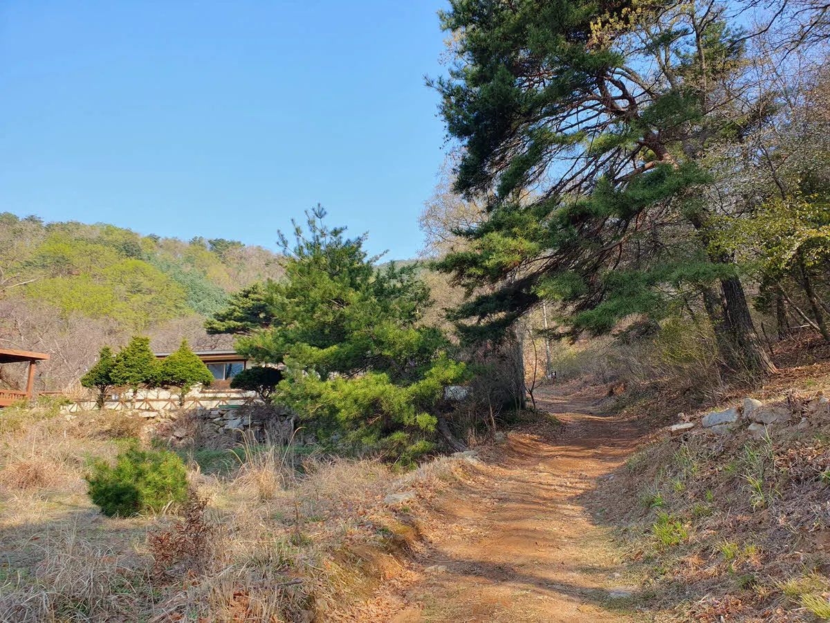 고즈넉한 등산로