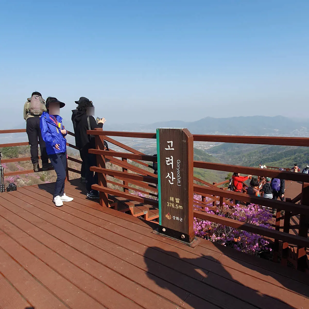 고려산 정상부 진달래 조망 데크길