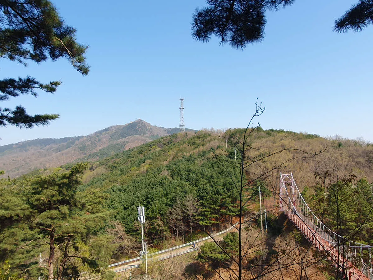 고려산 정상과 출렁다리