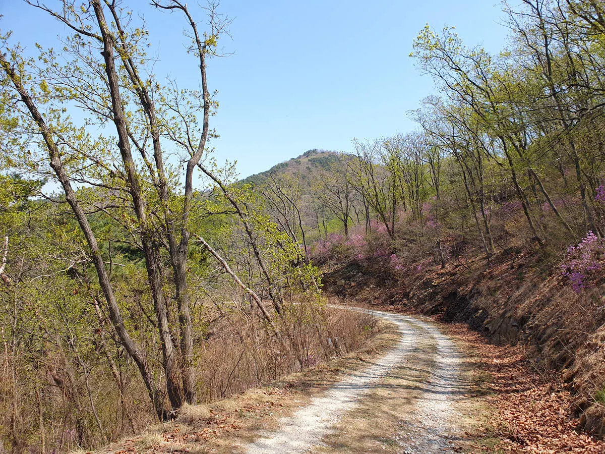 혈구산 임도