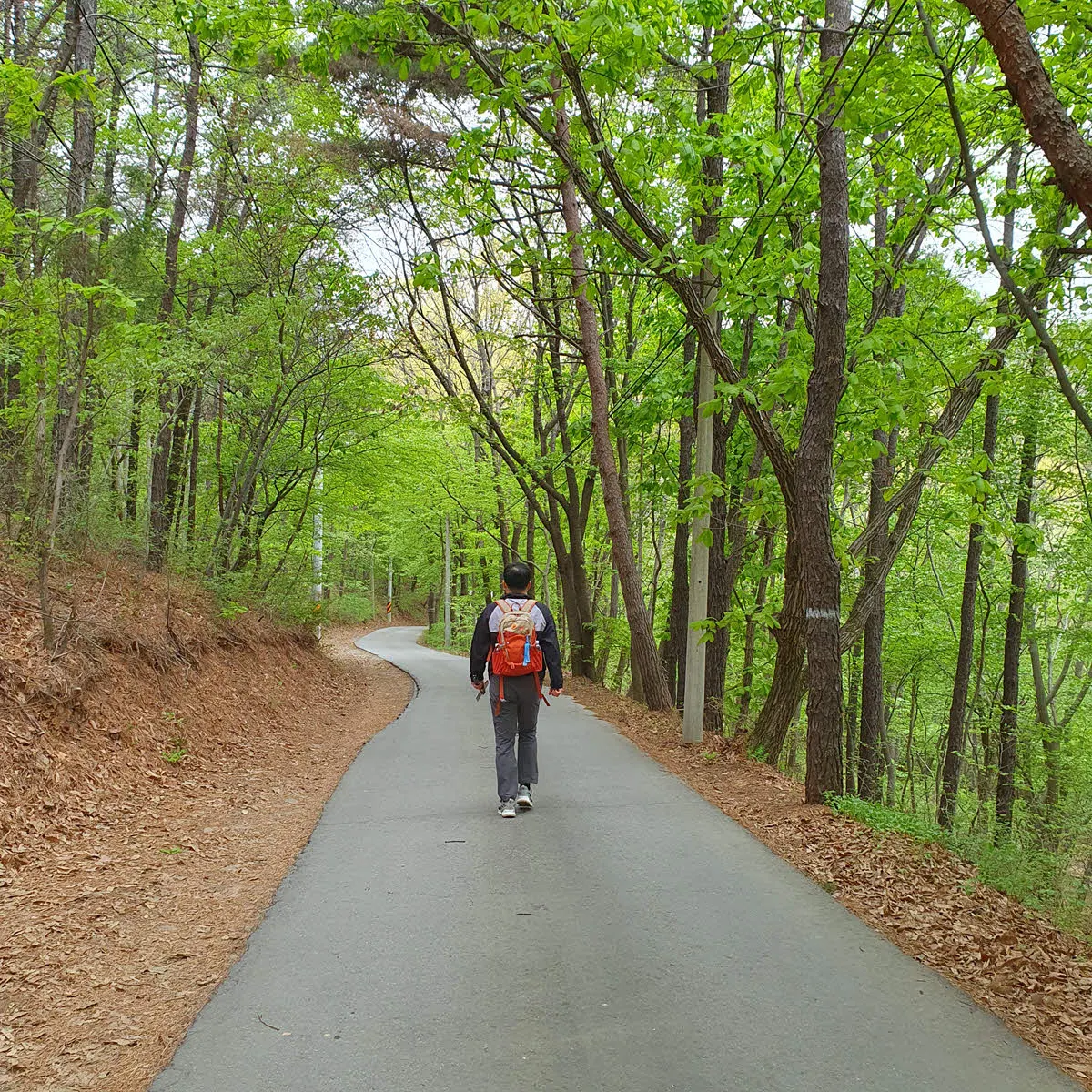 영종도 백운산 용궁사 가는 길