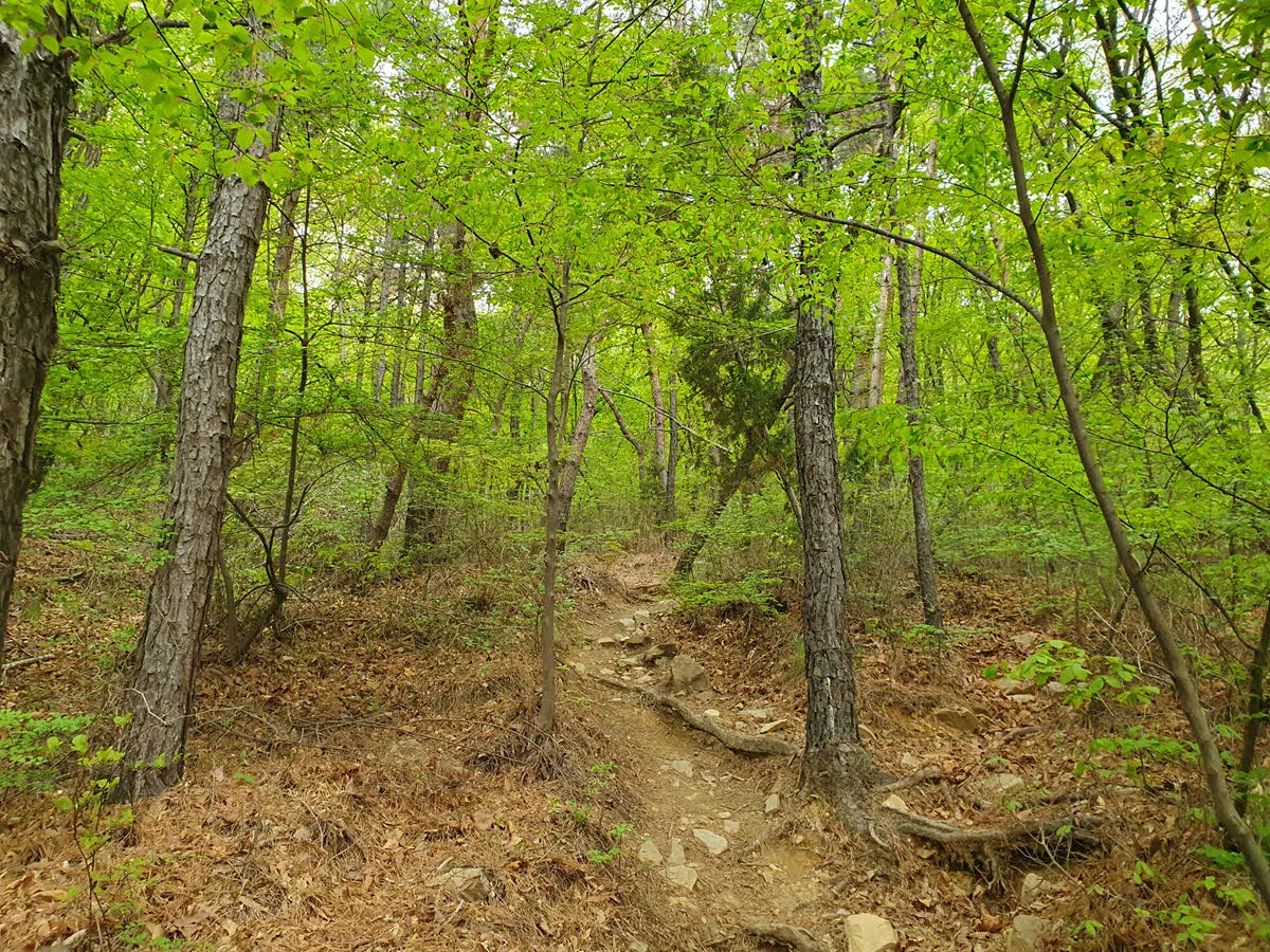 용궁사 뒷 편 백운산을 오르는 본격적인 등산로