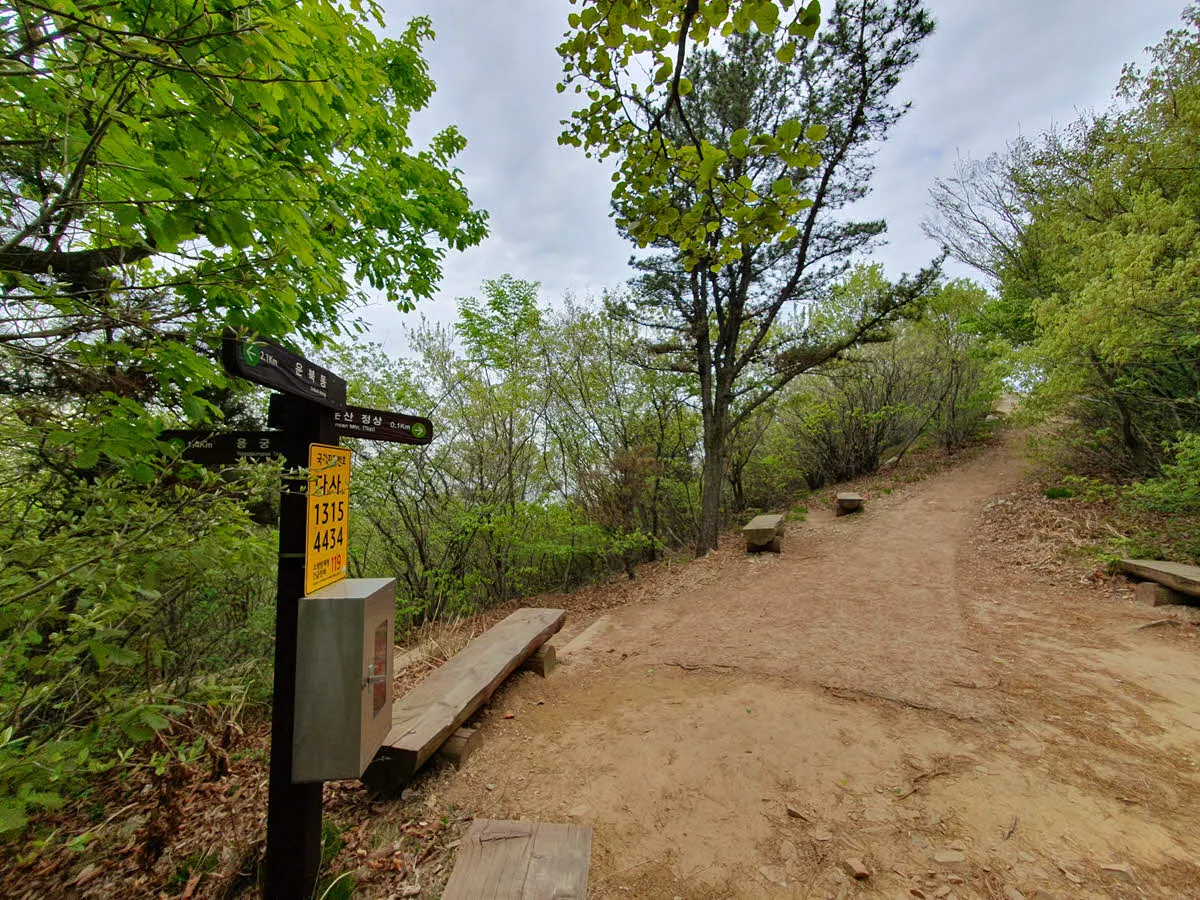 정상 100m 전 갈림길