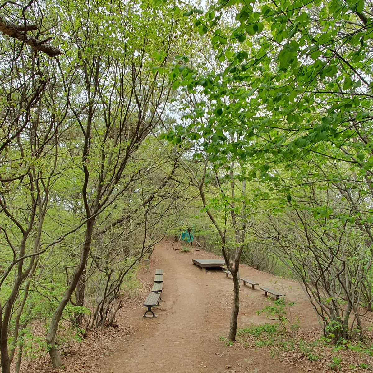 헬기장과 정상 사이의 쉼터