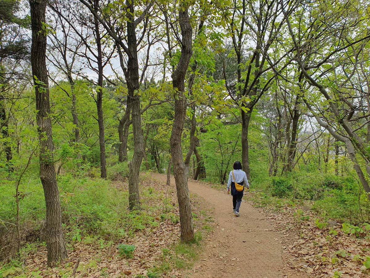 백운산 능선을 따라 계속 걷는다.