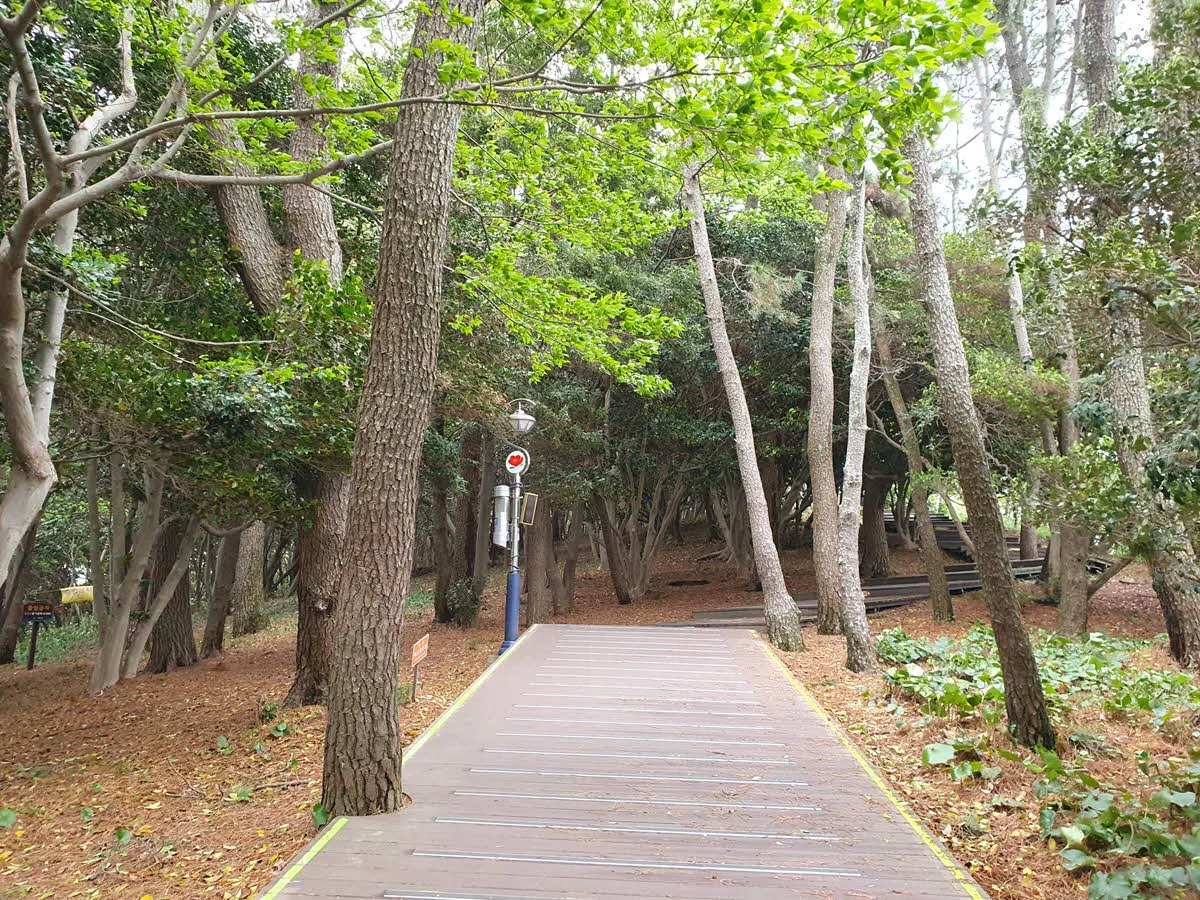 오동도 정상의 등대로 가는 데크길