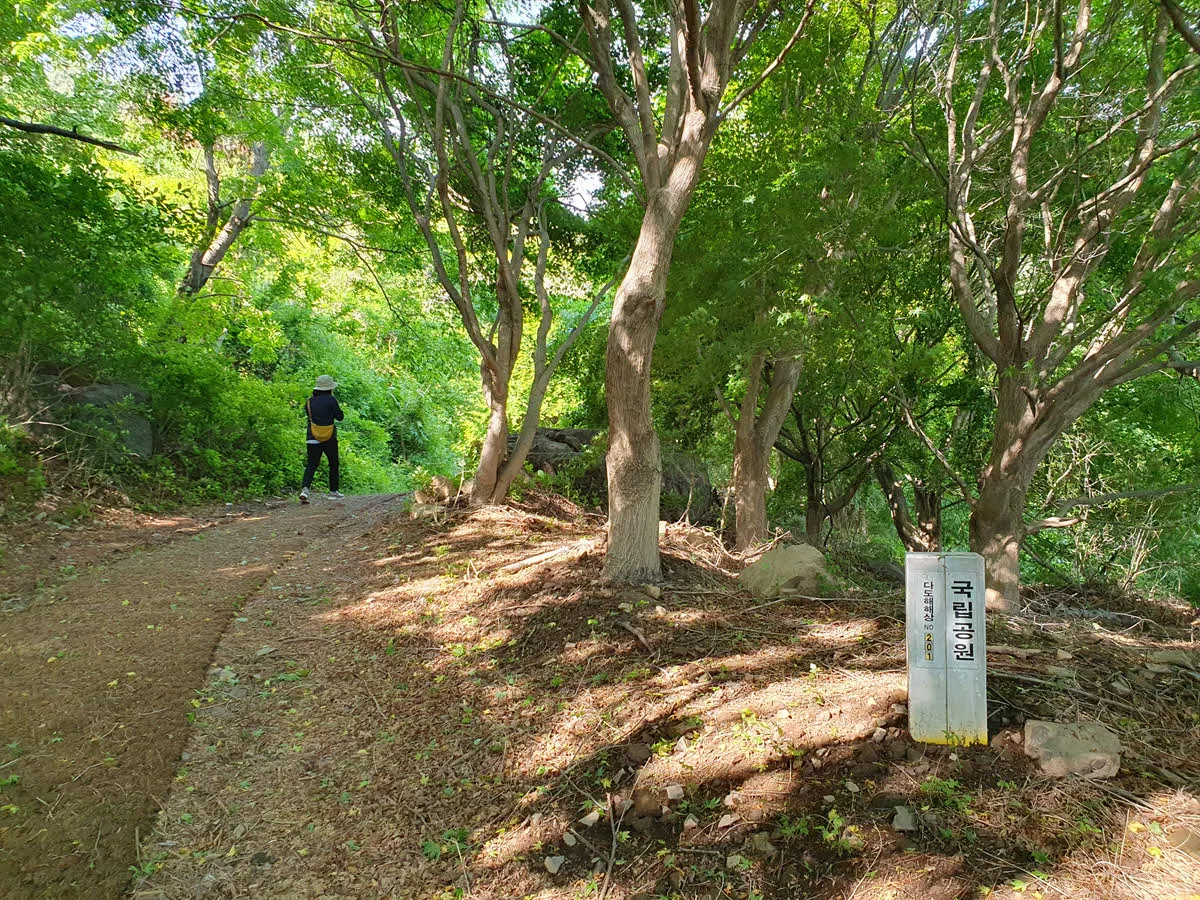 금오산 정상 오르는 길