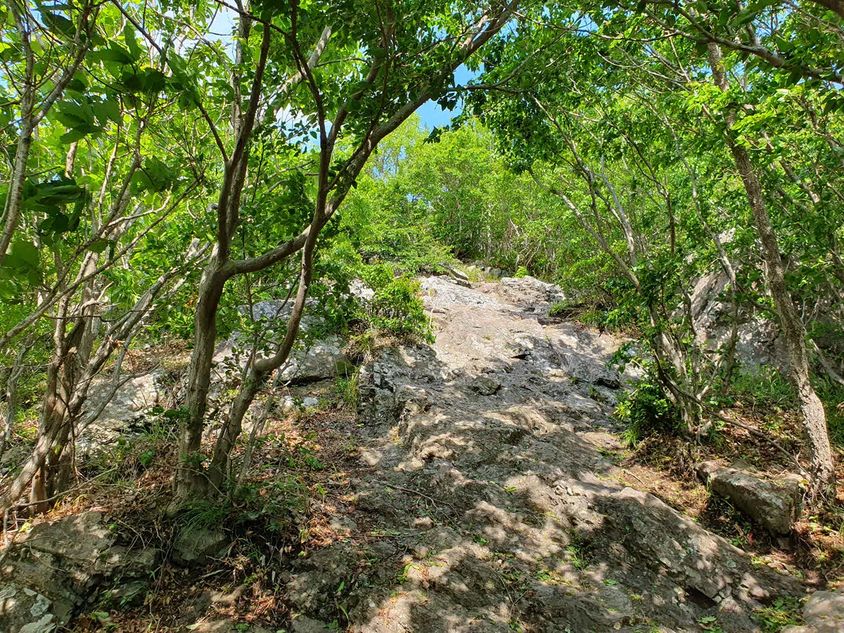 금오산의 산세는 제법 험하다