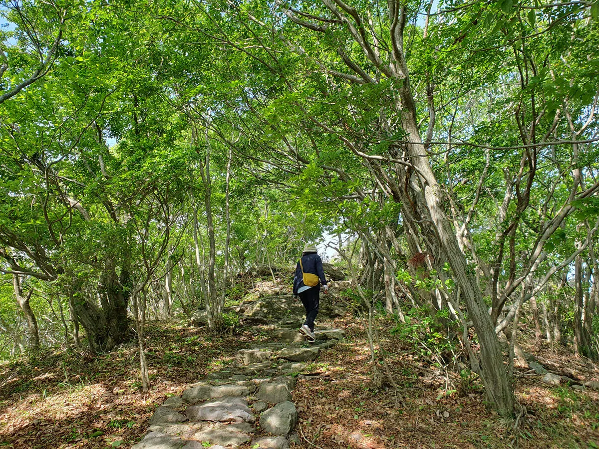 금오산 정상 가는 길