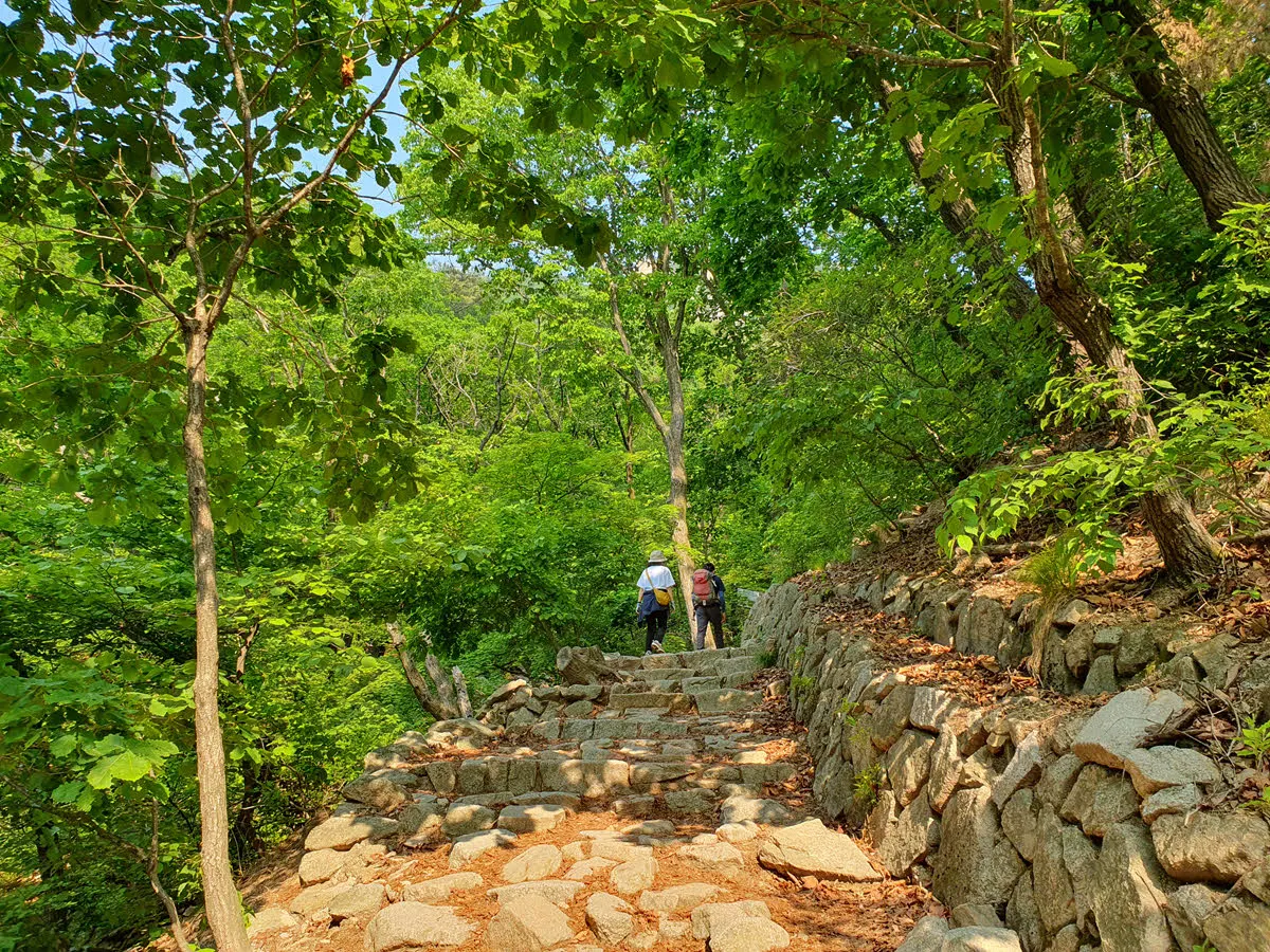 부지런히 하루재로 향한다