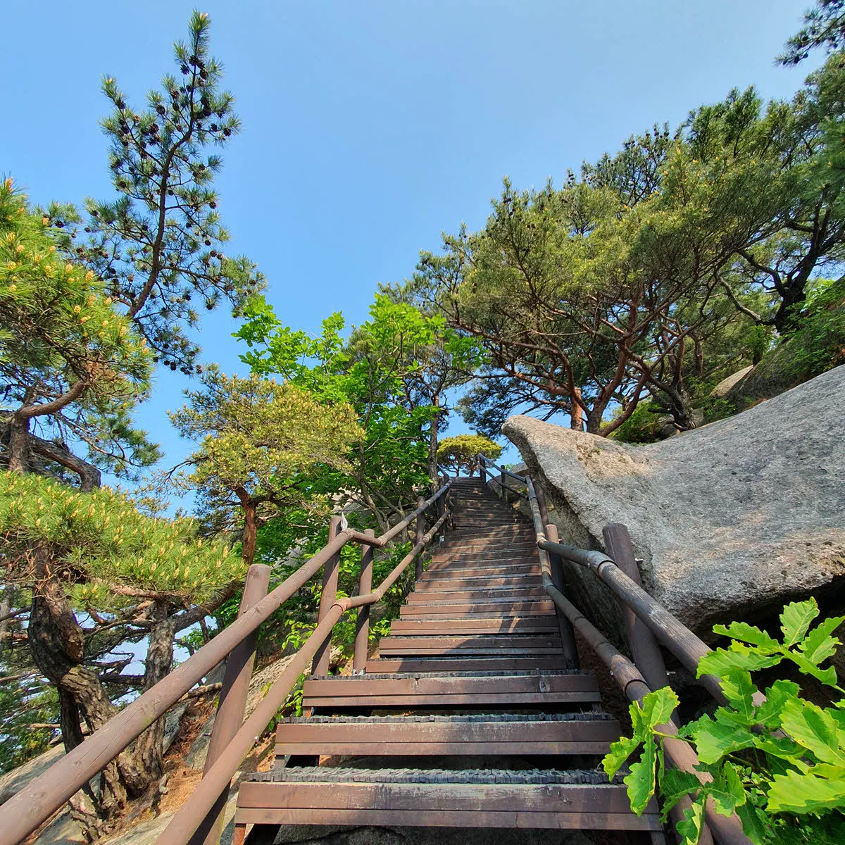 조금만 오르면 영봉이다