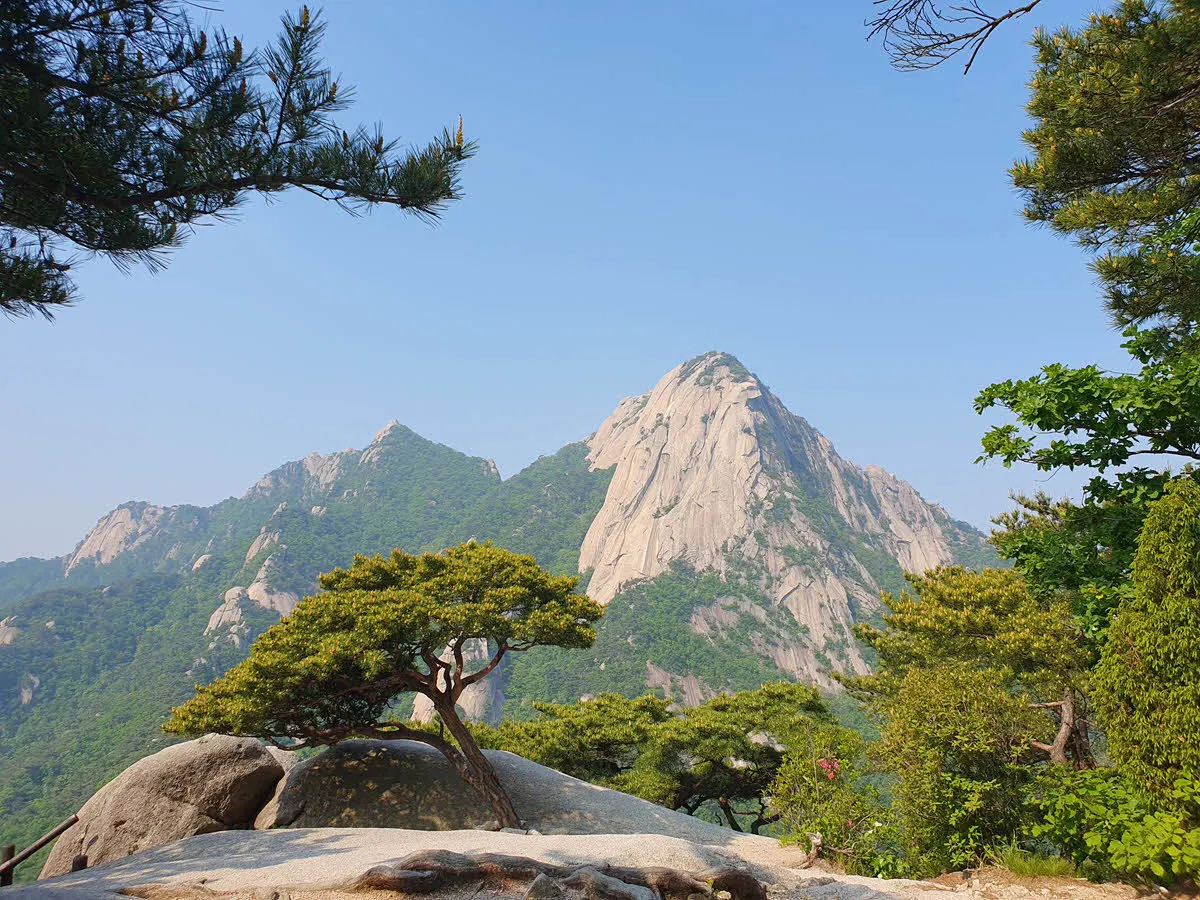 영봉 이정표 부근에서 보이는 북한산 인수봉과 망경대