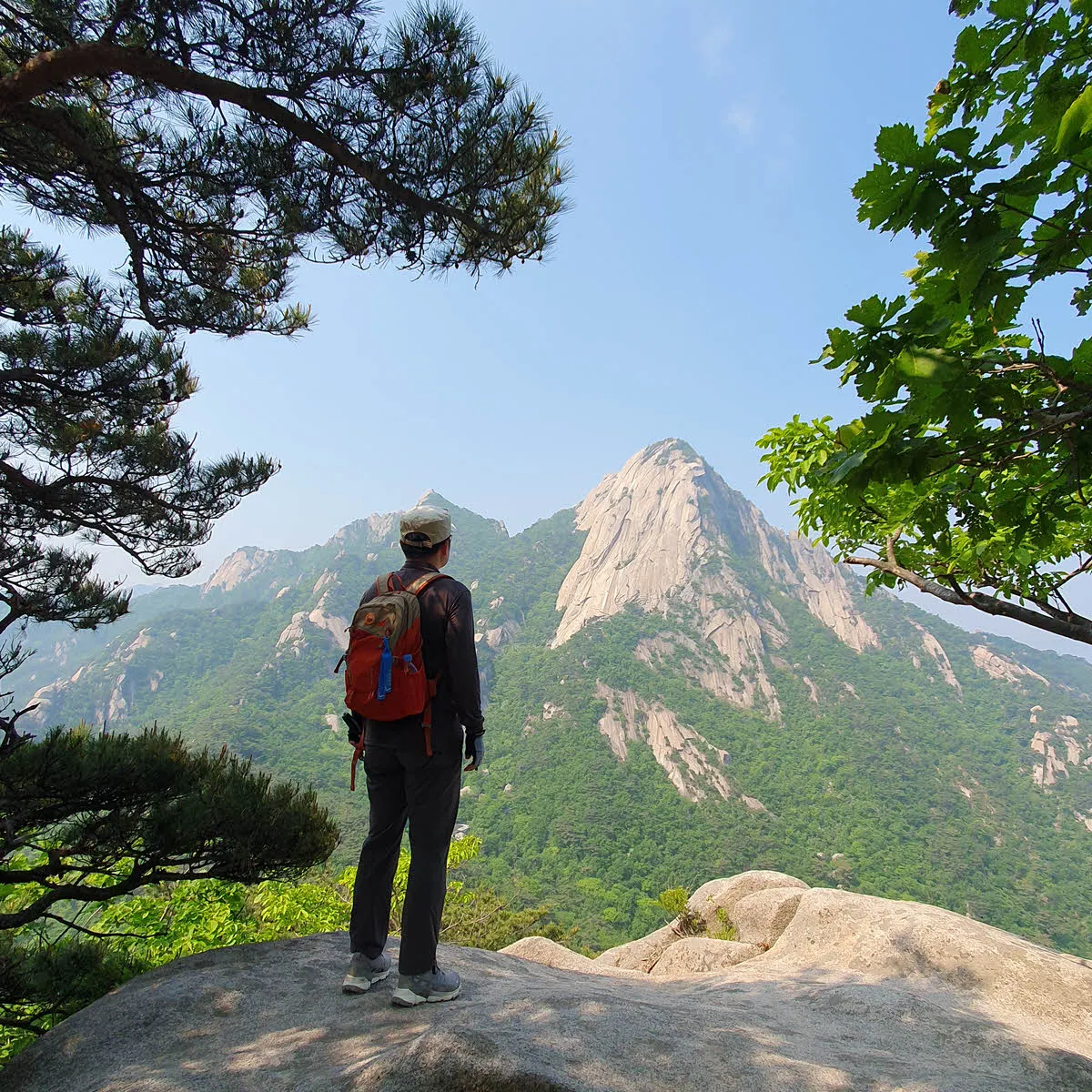 우리의 아점 식사터 바위
