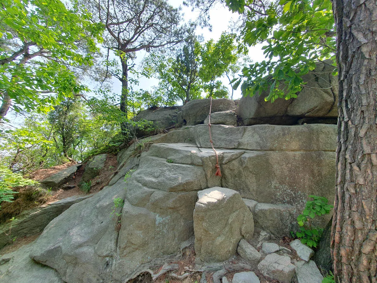 줄을 잡고 오르시오