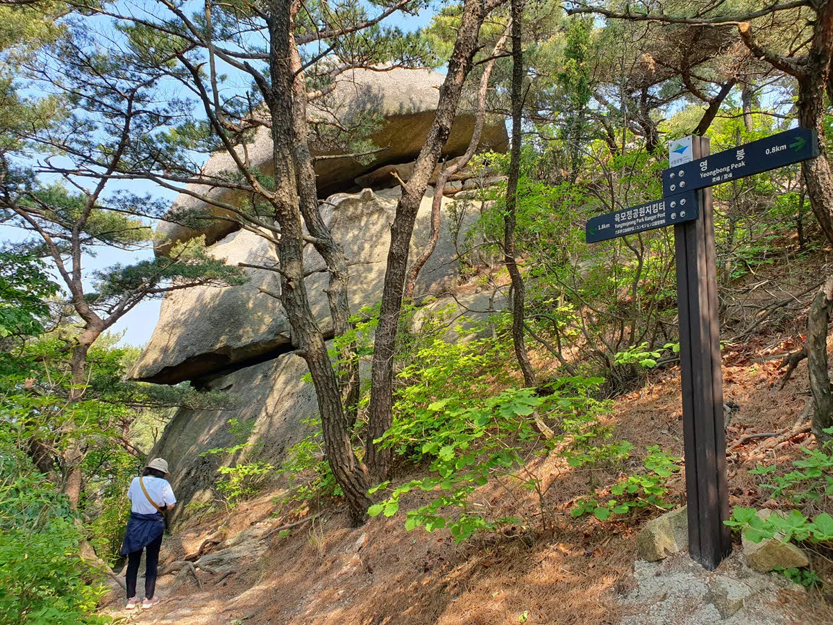 영봉에서 육모정 가는 길
