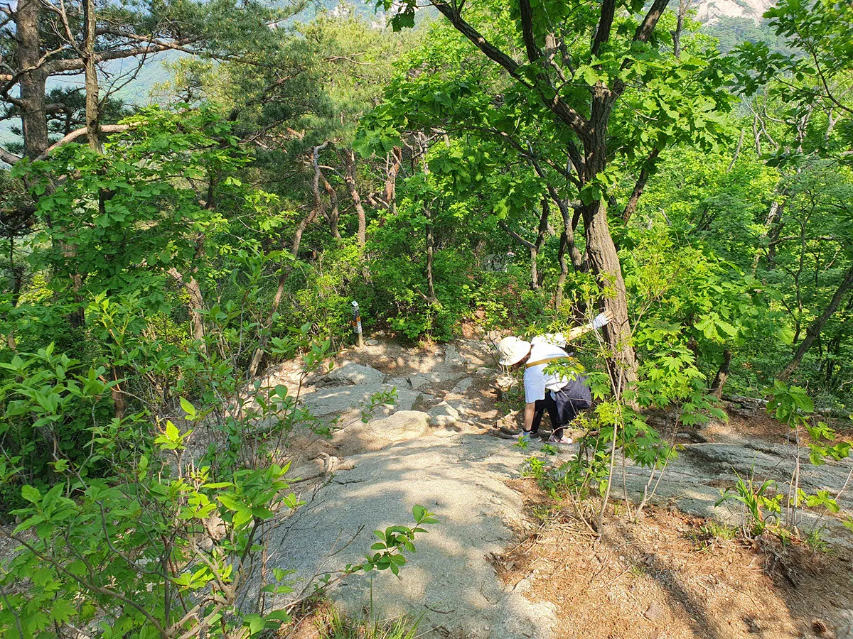 조심 조심 내려가야 한다