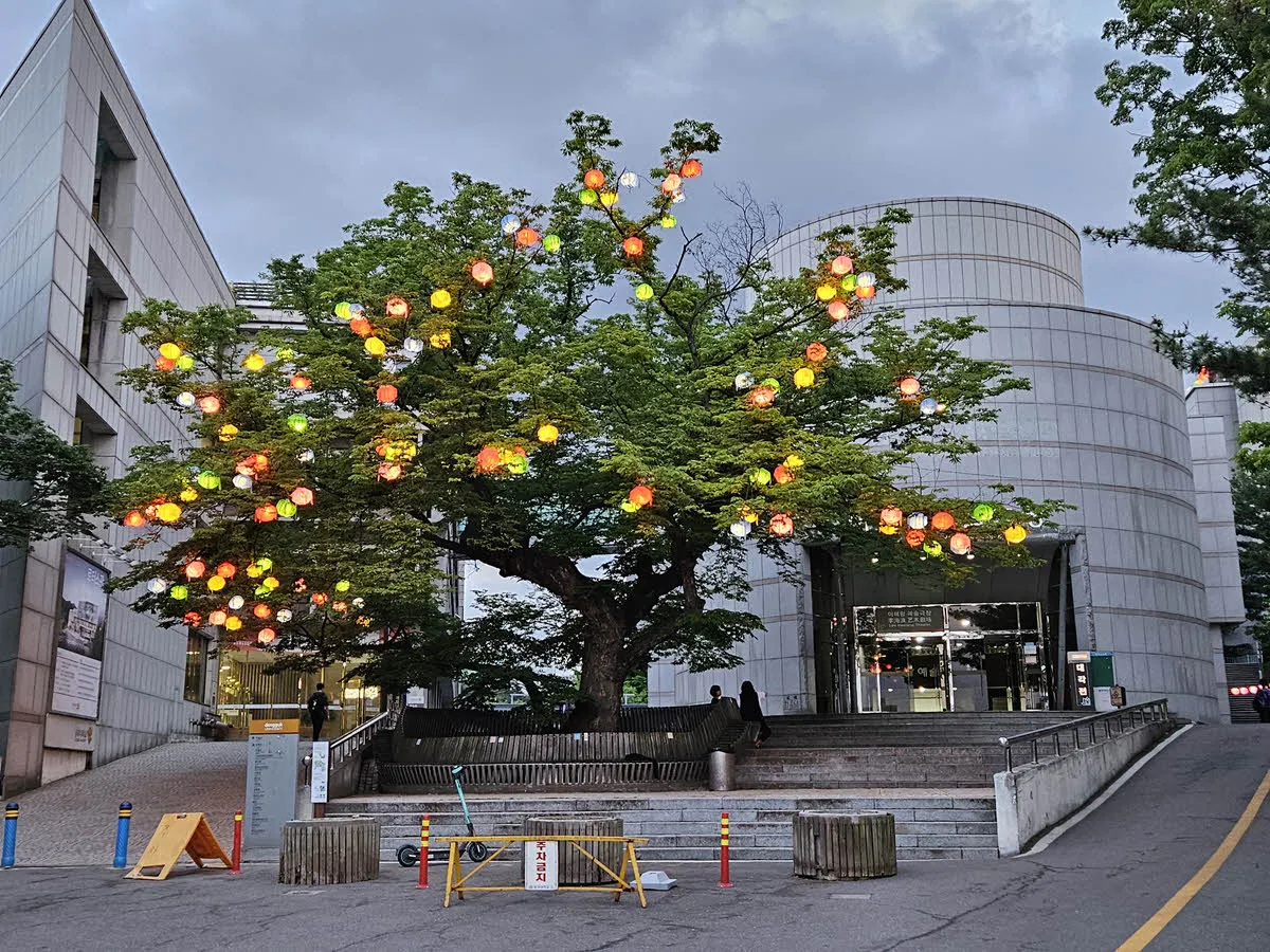 동국대학교 정문의 연등