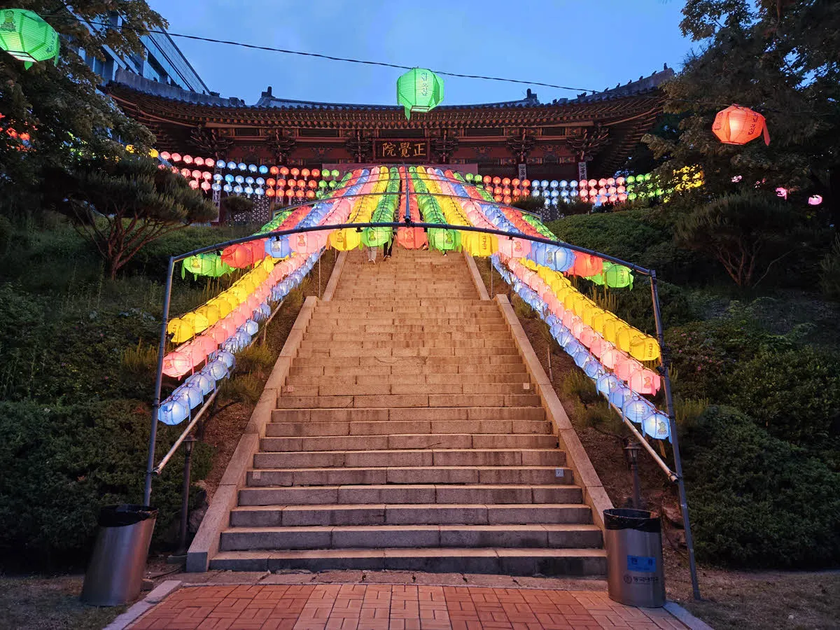 동국대학교 정각원 연ㄷㅇ