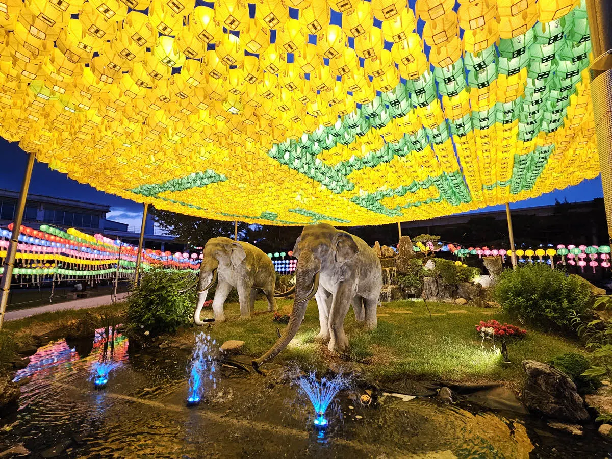 동국대학교 명물 - 코끼리 가족