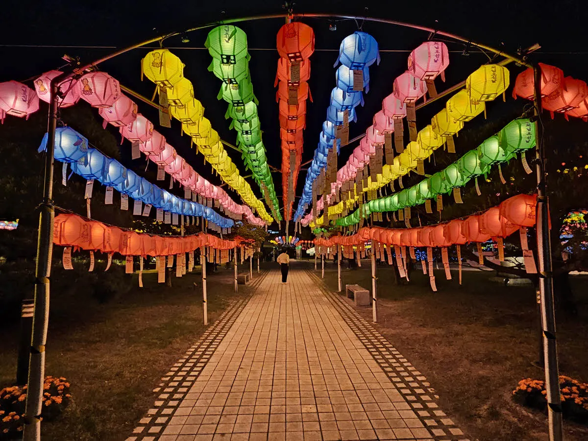 동국대학교 연등제 연등터널