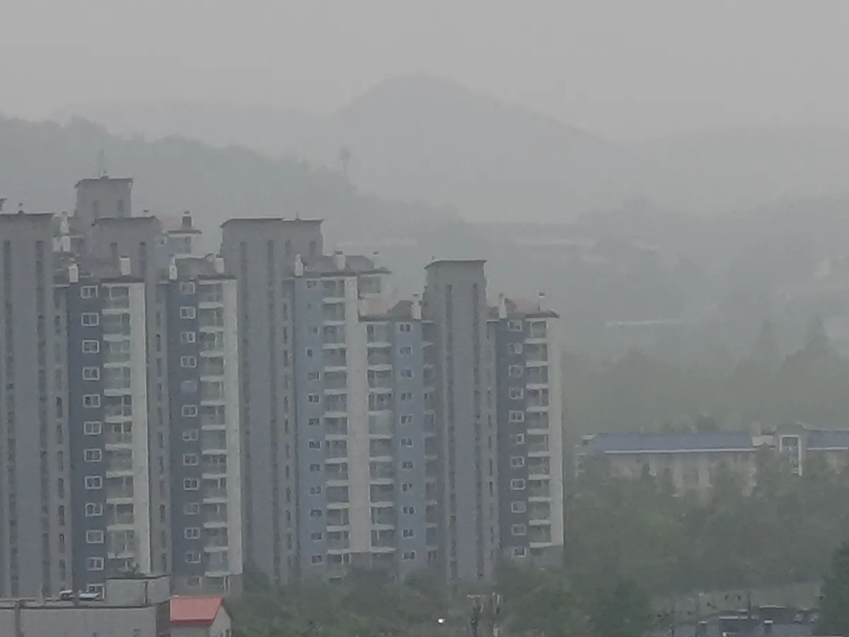 갤럭시 S10 5G의 10배 줌