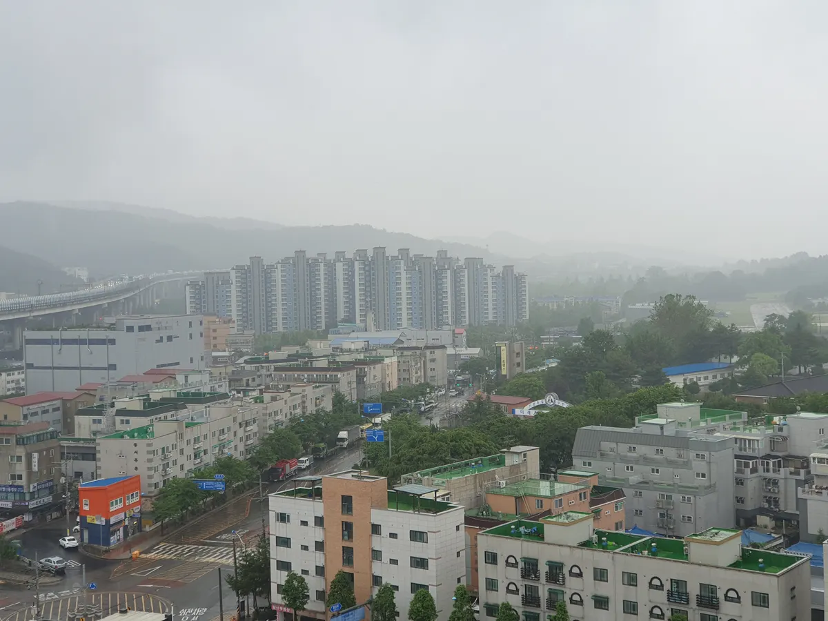 갤럭시 S10 5G의 2배 줌 사진