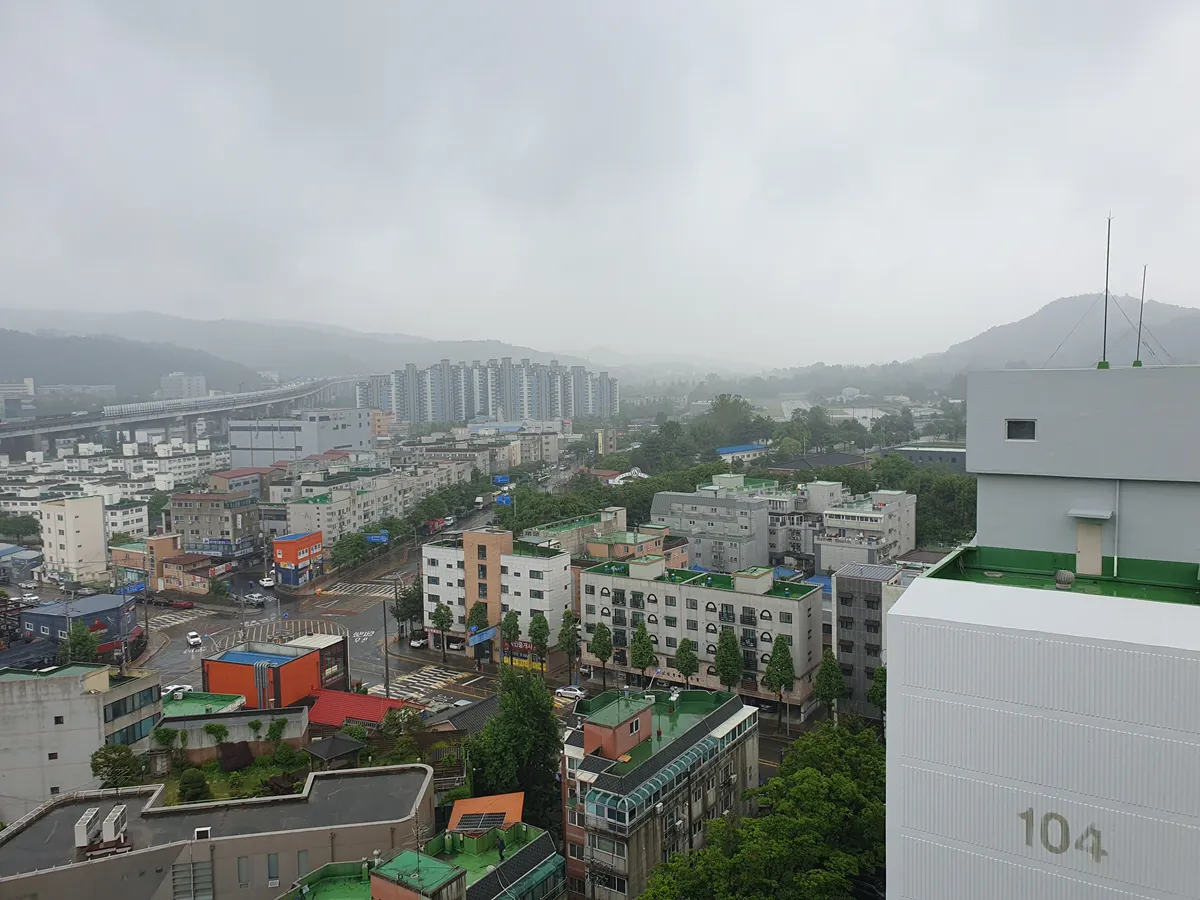 갤럭시 S10 5G 기본 카메라로 촬영한 사진