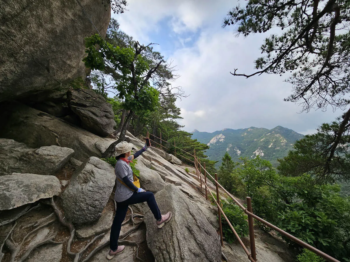 응봉능선의 기암