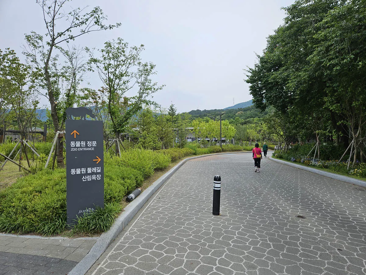 동물원 정문 가는 길