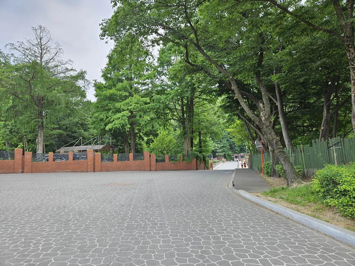 산림욕장 가는 길