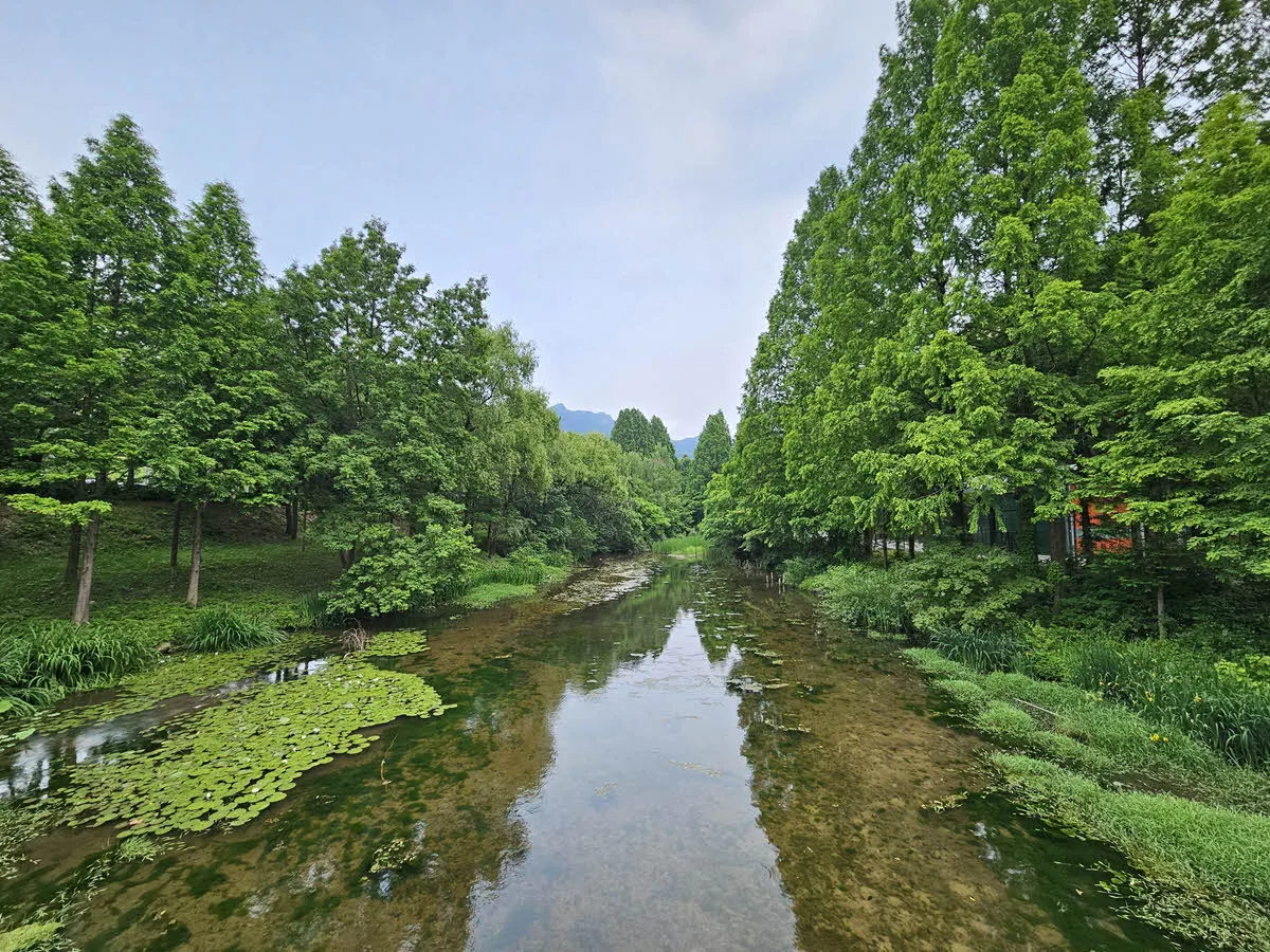 청계산에서 내려오는 계곡