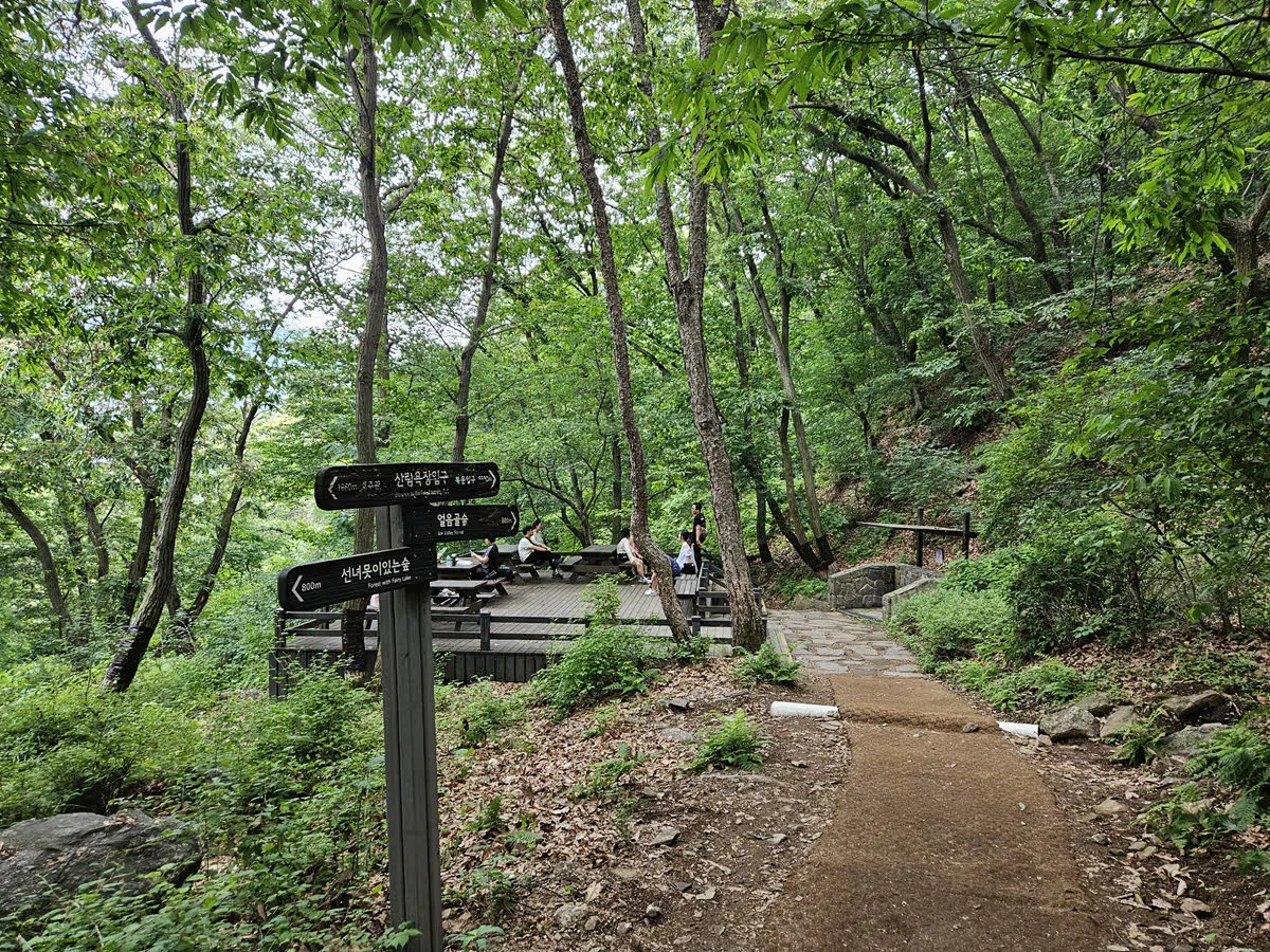 서울대공원 산림욕장길 중간의 쉼터