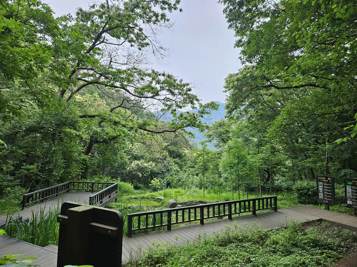 서울대공원 산림욕장 습지