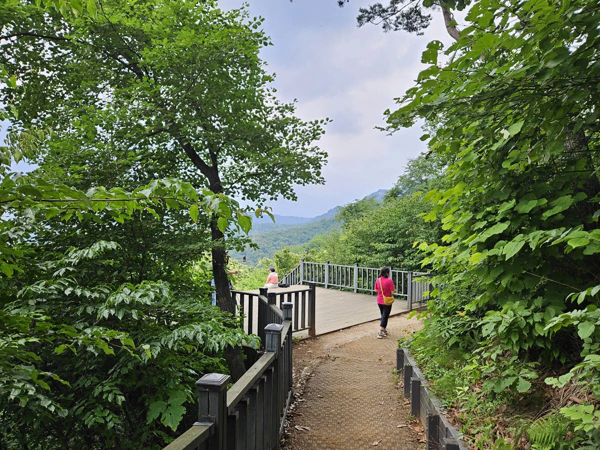 서울대공원 산림욕장길 전망대