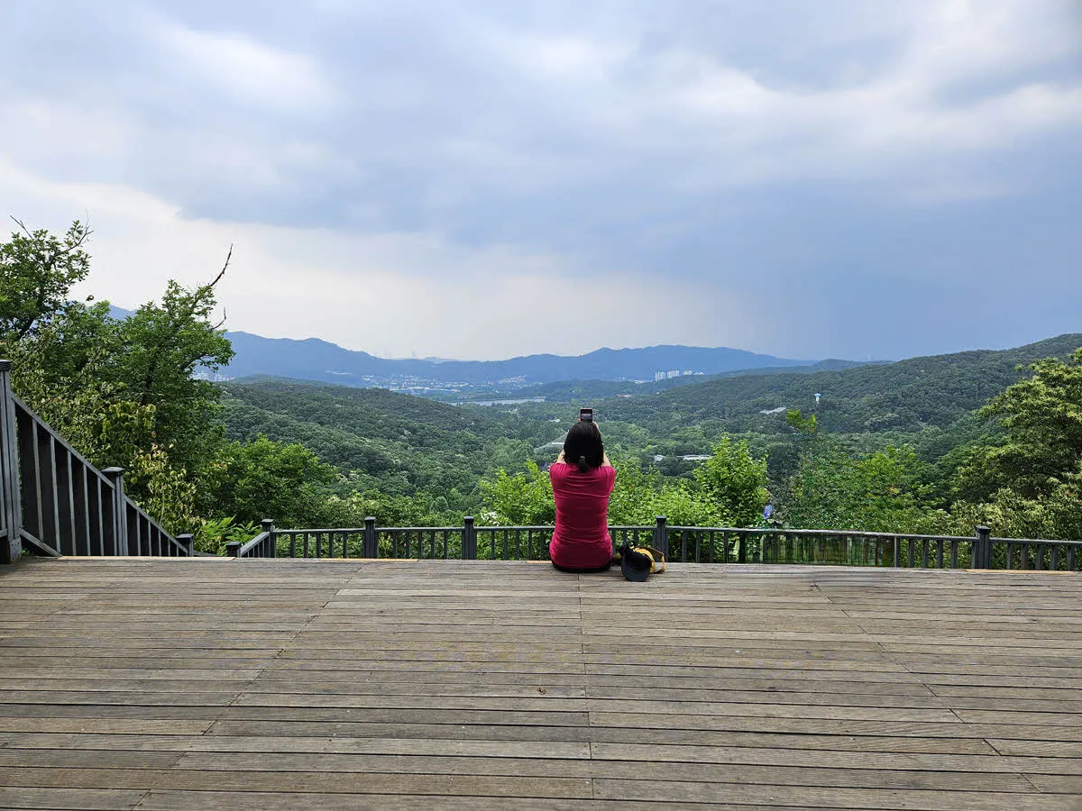 서울대공원 산림욕장길 전망대