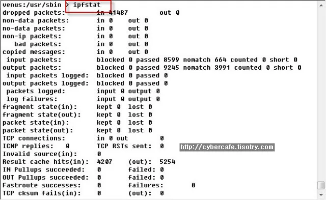 ipfstat 명령 수행결과